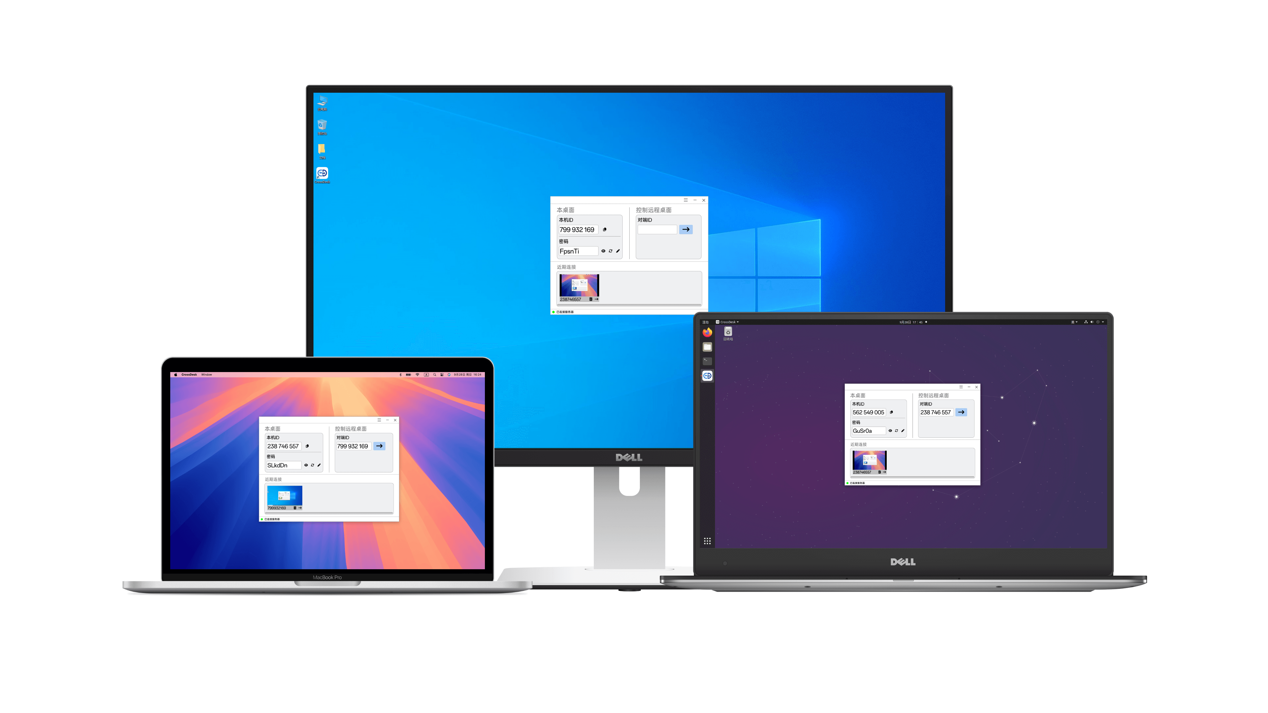 Cross-platform Support